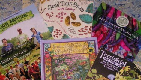 Best Seed Catalogs Image